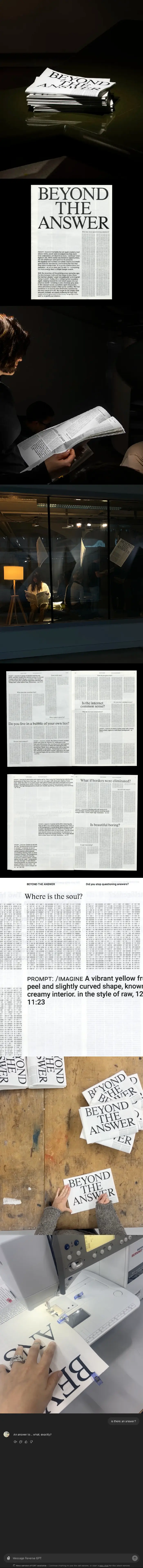 Beyond the answer image overview